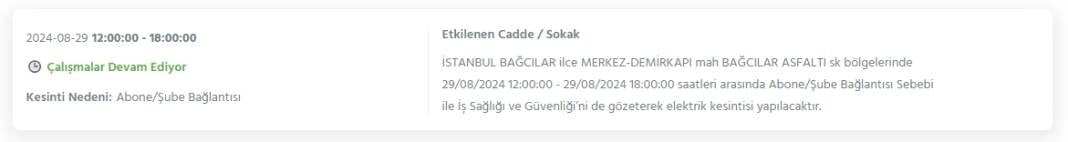 Gece yarısından itibaren başlıyor! İstanbul'un 20 ilçesinde 8 saati bulacak elektrik kesintisi 30